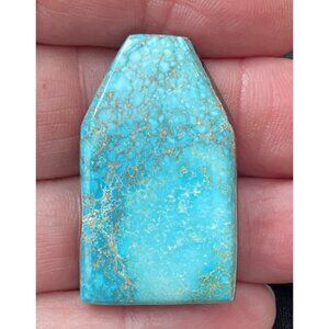 Carico lake turquoise cabochon 41.7 Carats Backed (Bin100)
